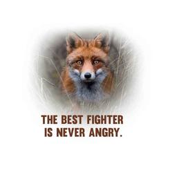 inspirational quotes