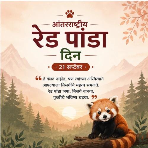 international red panda day festival greeting cards