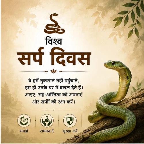 world snake day festival greeting cards